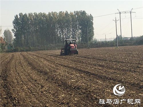 噸源種業(yè)召開 福高2號 播種現場會