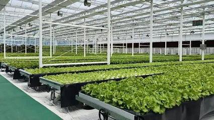 文山州這里現(xiàn)代農(nóng)業(yè)種業(yè)產(chǎn)業(yè)園建設(shè)項目