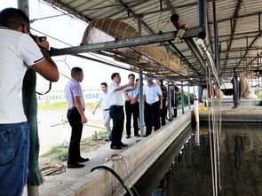 省農業農村廳副廳長高慶營一行 到南海九江調研水產種業