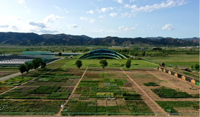 蒙草生態上市十周年:種業為本、科研當先