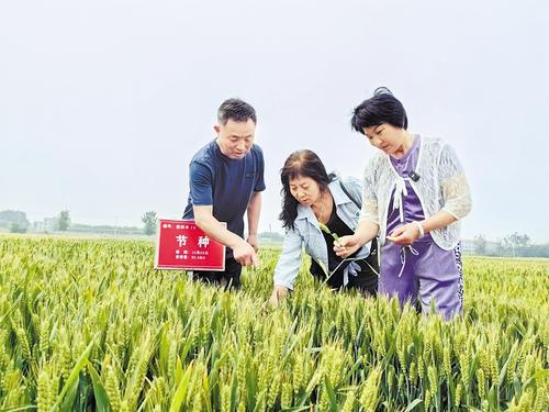 國(guó)家級(jí)展會(huì)賦能，洞見(jiàn)中國(guó)種業(yè)發(fā)展的新機(jī)遇