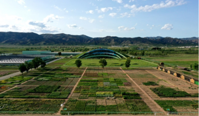 蒙草生態(tài)上市十周年 以種業(yè)為本，科研當(dāng)先，深耕生態(tài)修復(fù)的“中國(guó)草”