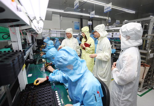 科技金融賦能新質(zhì)生產(chǎn)力 構(gòu)建生物科技研發(fā)的創(chuàng)新技術(shù)流與評(píng)價(jià)體系